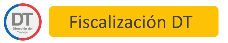 Fiscalización DT